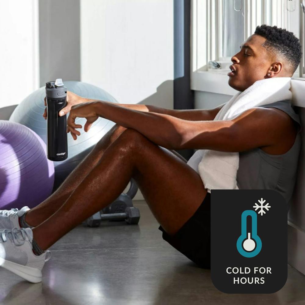 Contigo® Ashland Chill 2.0 Stainless Steel Water Bottle with AUTOSPOUT® Lid, 24oz - Licorice