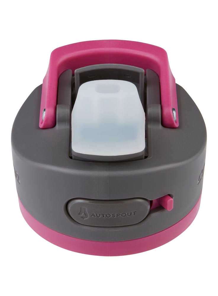 Contigo® Ashland 2.0 Water Bottle with AUTOSPOUT® Lid, 24oz - Dragon Fruit