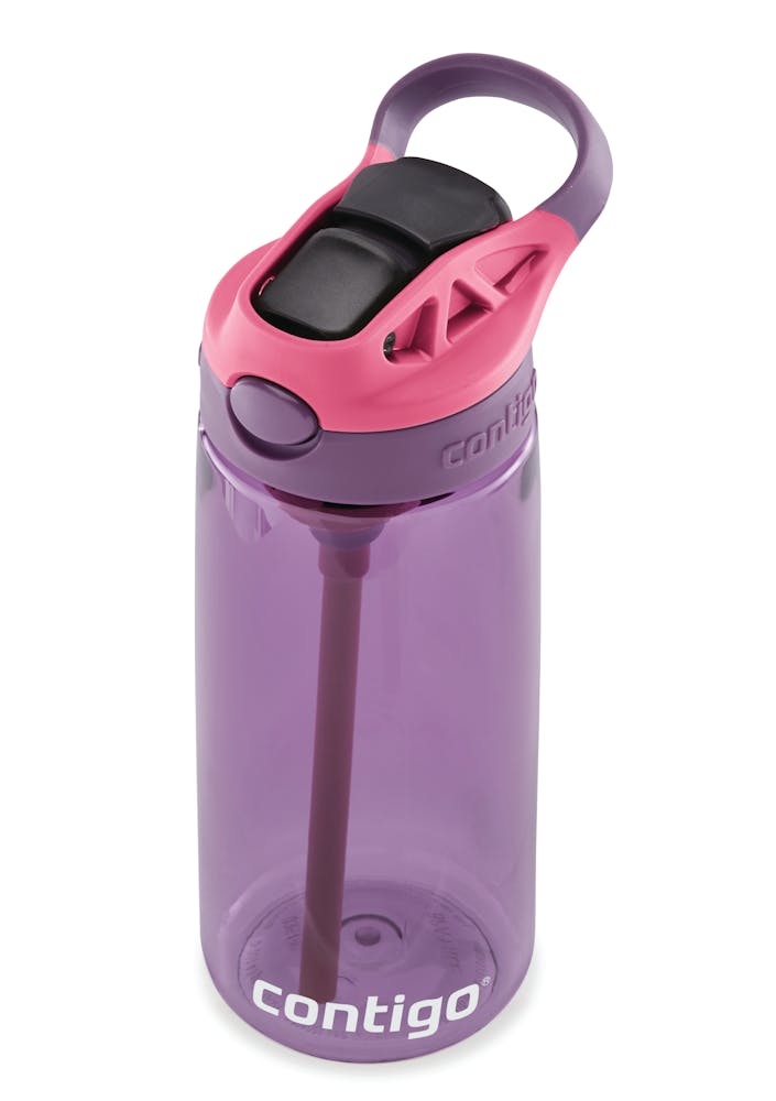 Contigo® Kids Cleanable AUTOSPOUT® Water Bottle, 20 oz - Eggplant & Punch