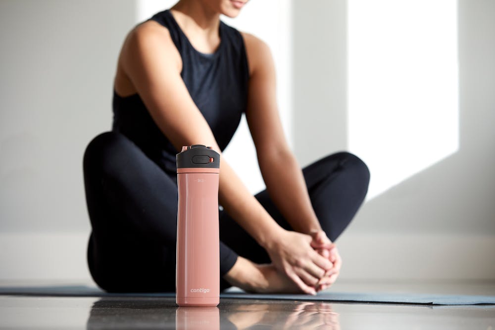 Contigo® Ashland Chill 2.0 Stainless Steel Water Bottle with AUTOSPOUT® Lid, 24oz - Pink Lemonade