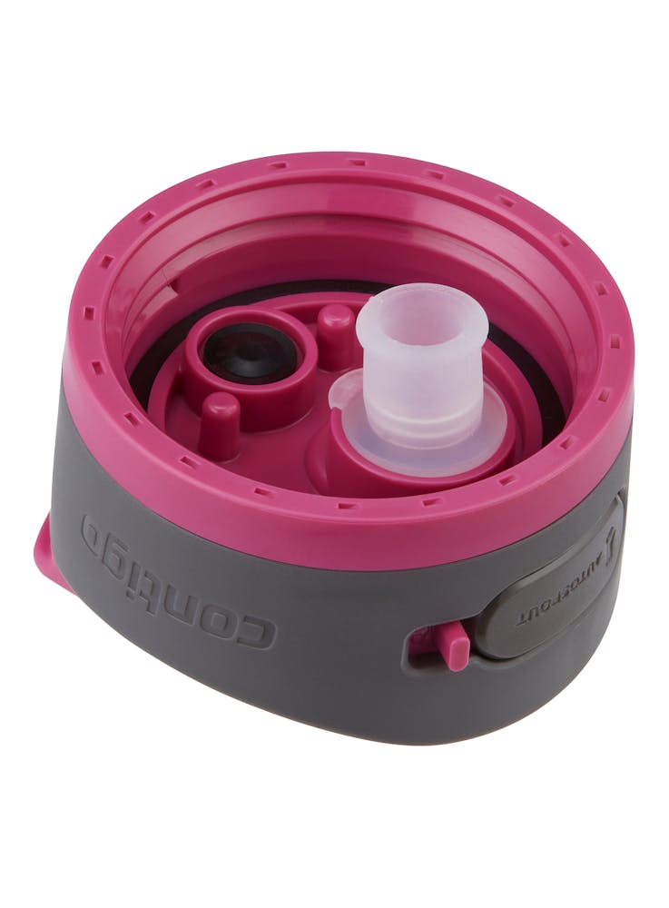 Contigo® Ashland 2.0 Water Bottle with AUTOSPOUT® Lid, 24oz - Dragon Fruit